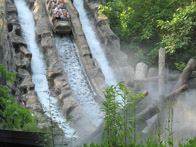 Look closely for Poppy and Audrey in the front row-Dollywood, May 2010