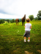 Jessica took this photo of Livi at Cornett's Chapel in June 2014.  Livi loves the horses, and I think this is one of my favorites.