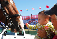 Fostering a love for the horses at the 2010 World Equestrian Games